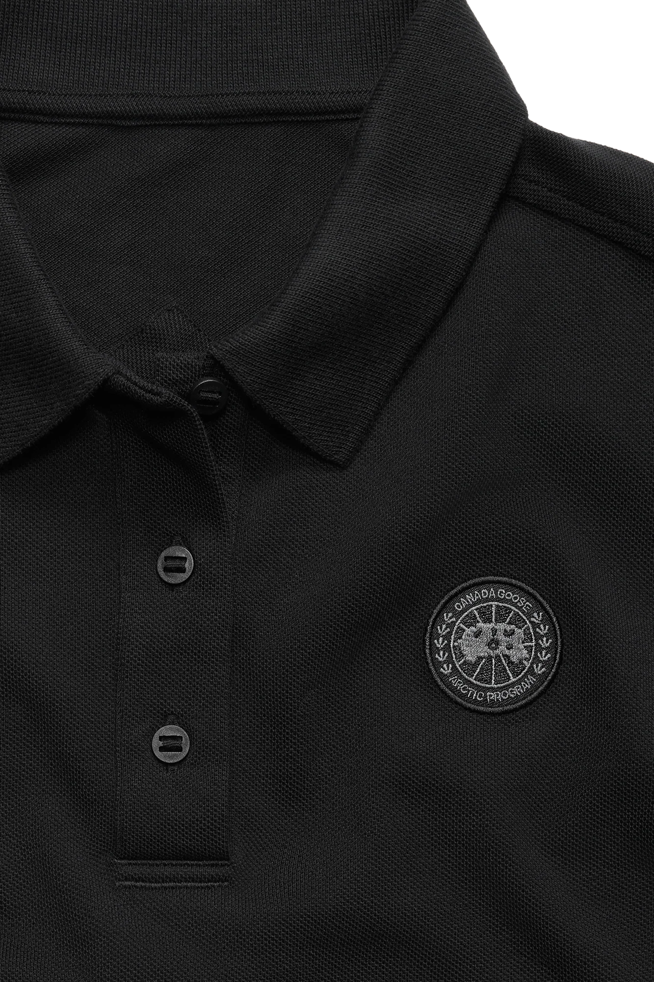 Almira Polo - Image 5