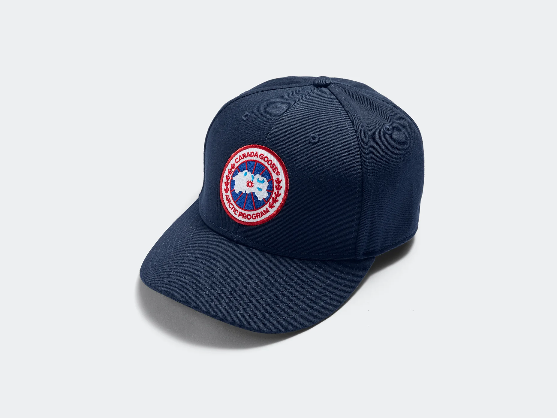 Arctic Disc Adjustable Cap - Image 8