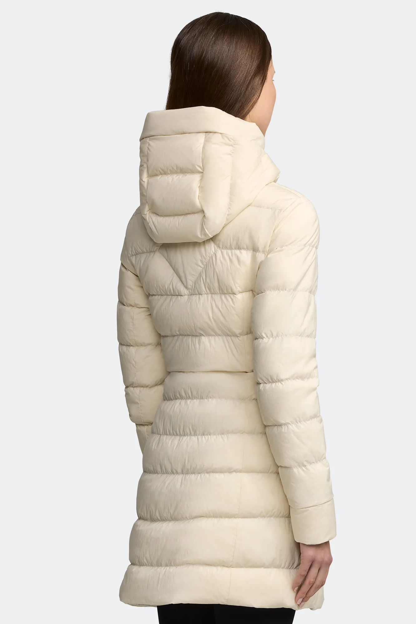 Clair Coat - Image 5