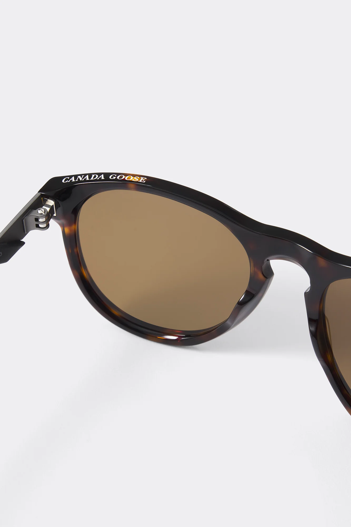 Skye Sunglasses - Image 4